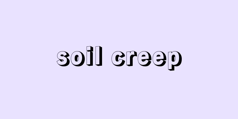soil creep