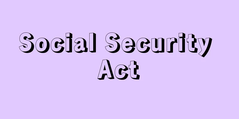 Social Security Act