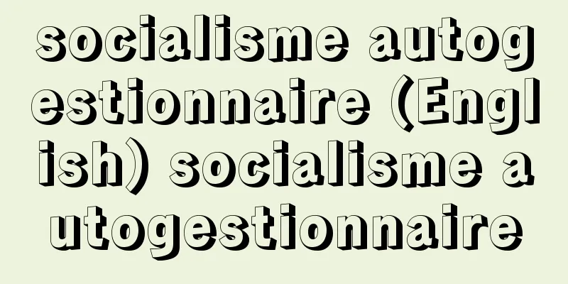 socialisme autogestionnaire (English) socialisme autogestionnaire