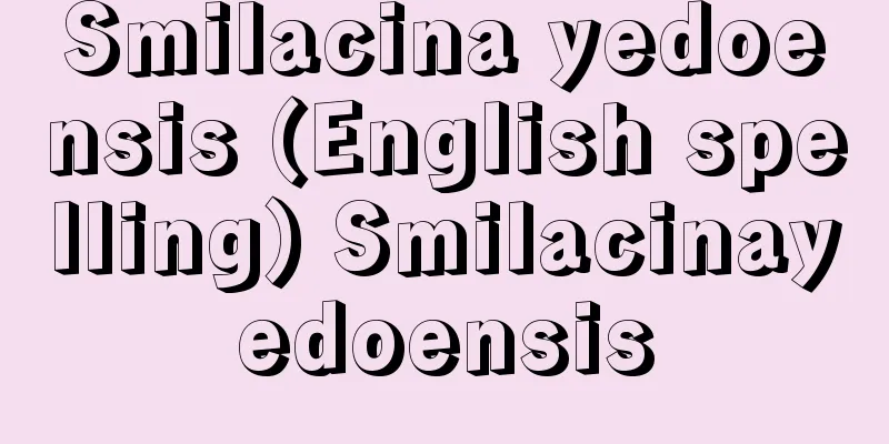 Smilacina yedoensis (English spelling) Smilacinayedoensis