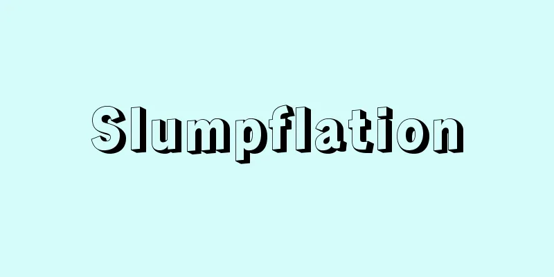 Slumpflation