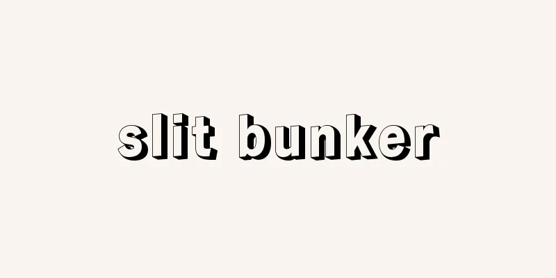 slit bunker