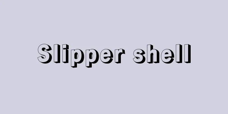 Slipper shell