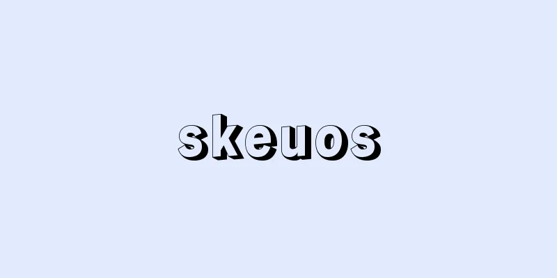 skeuos