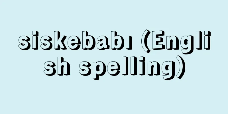 siskebabı (English spelling)