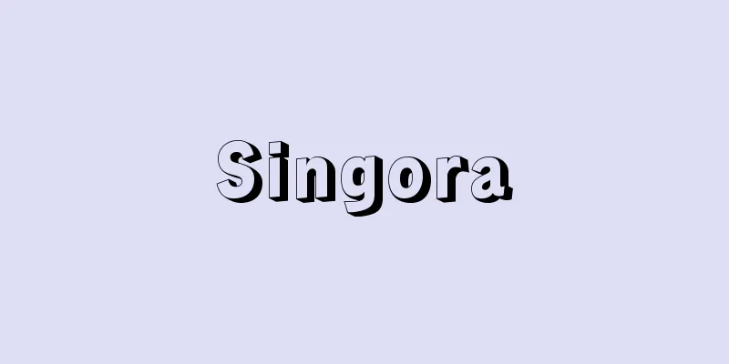 Singora