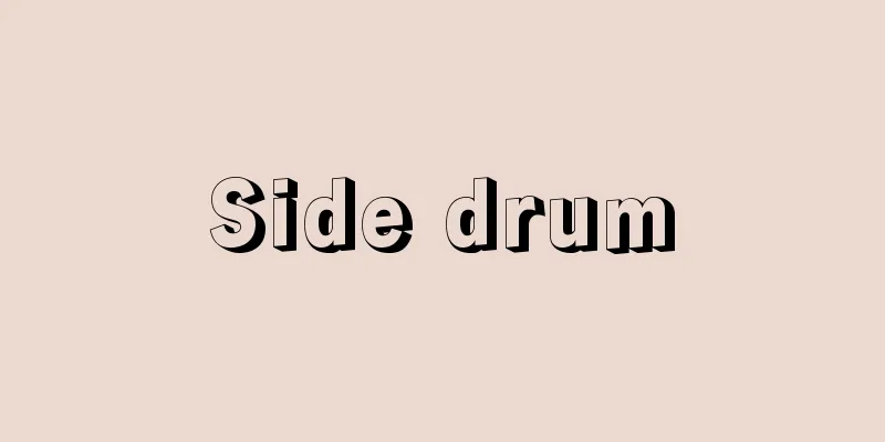 Side drum