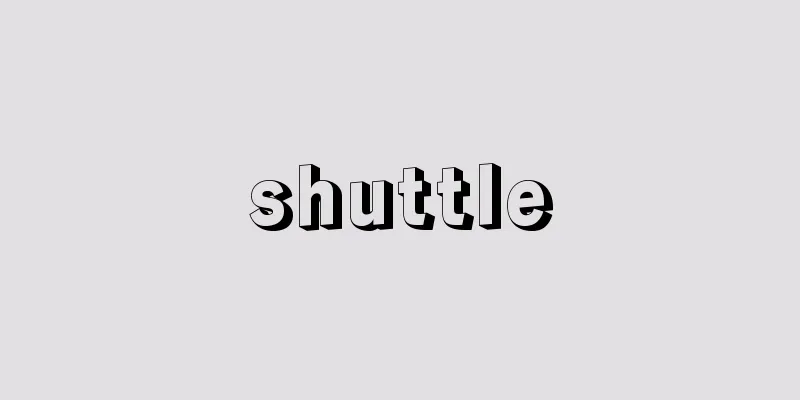 shuttle