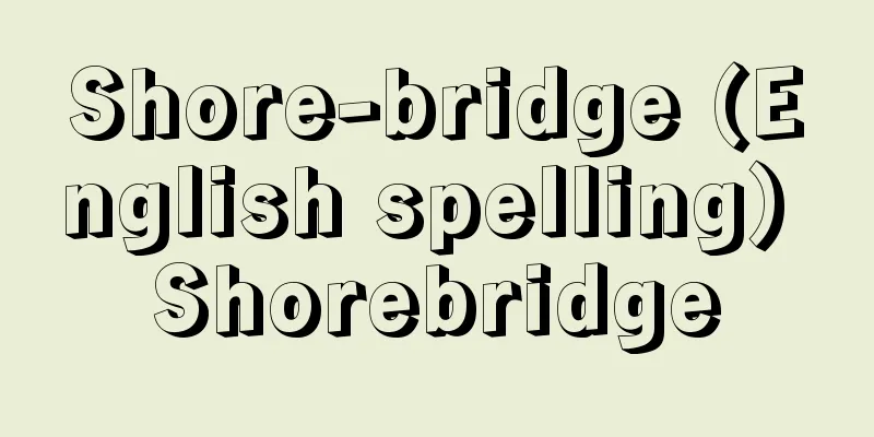 Shore-bridge (English spelling) Shorebridge