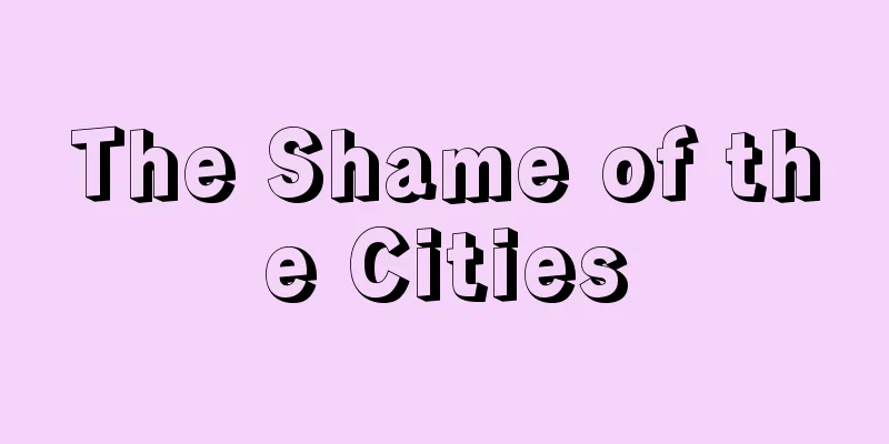 The Shame of the Cities