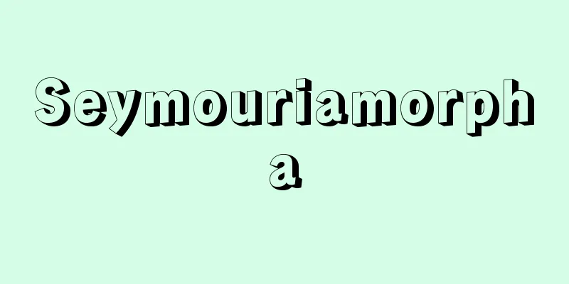 Seymouriamorpha