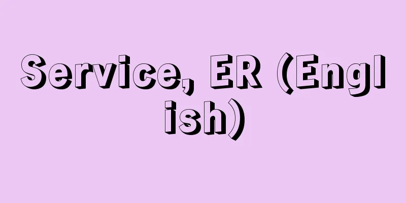 Service, ER (English)