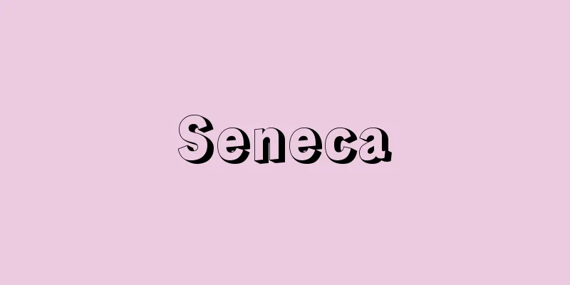 Seneca