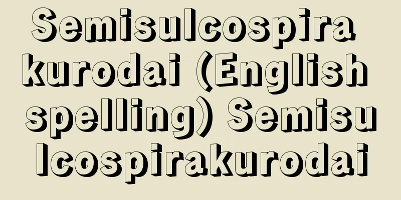 Semisulcospira kurodai (English spelling) Semisulcospirakurodai