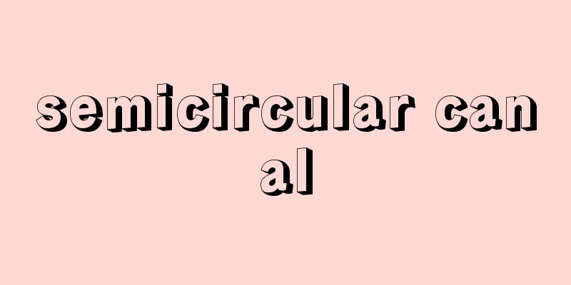 semicircular canal