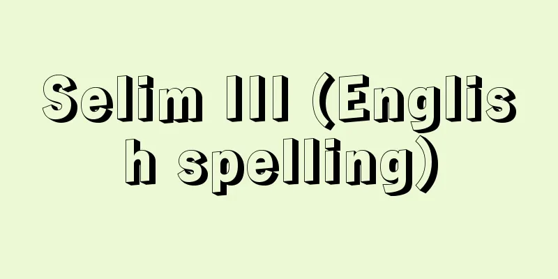 Selim III (English spelling)