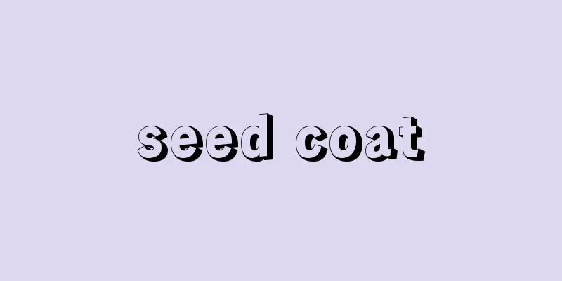 seed coat