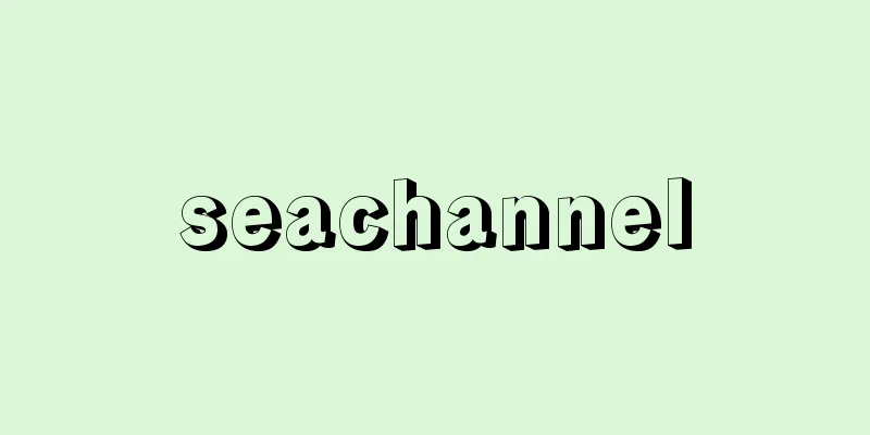 seachannel