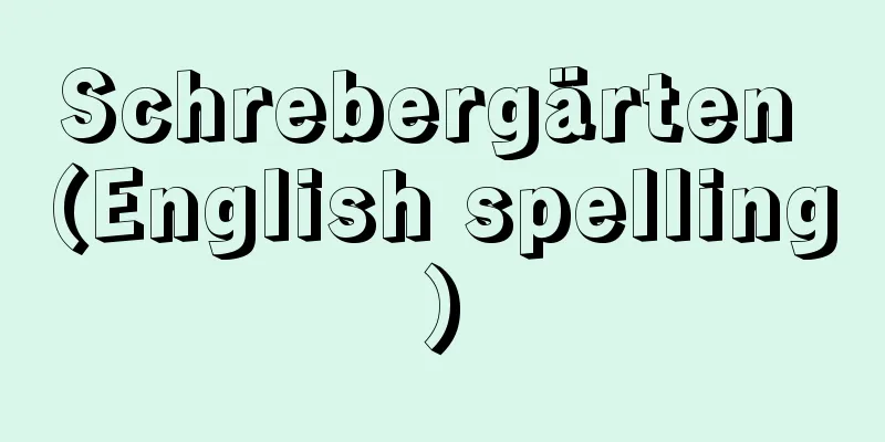 Schrebergärten (English spelling)