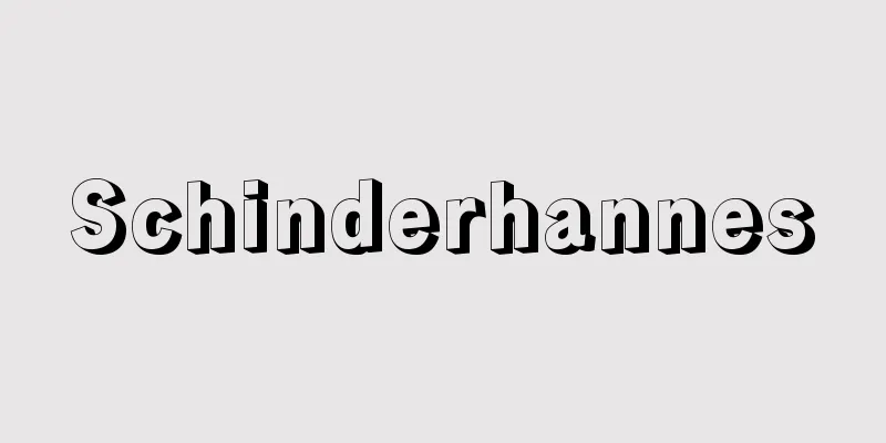 Schinderhannes