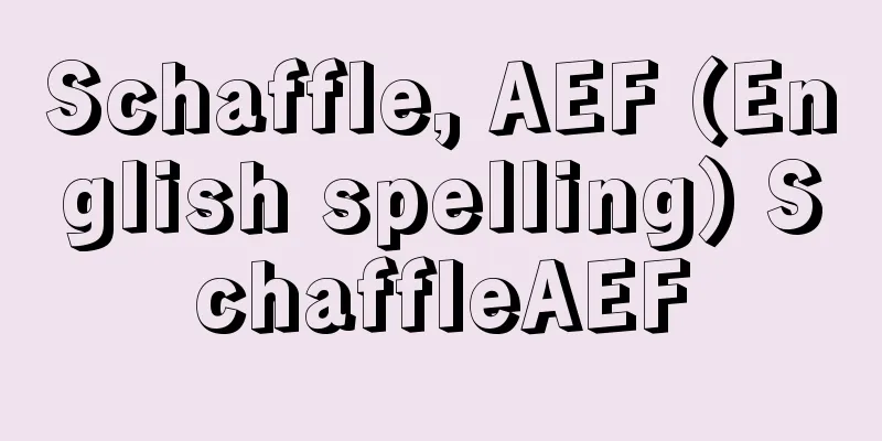 Schaffle, AEF (English spelling) SchaffleAEF