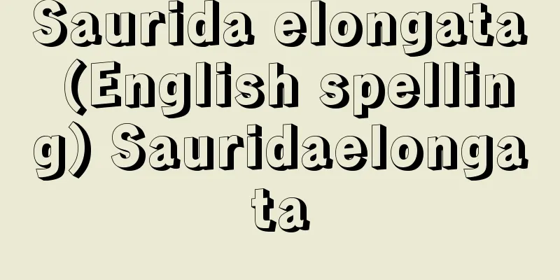Saurida elongata (English spelling) Sauridaelongata
