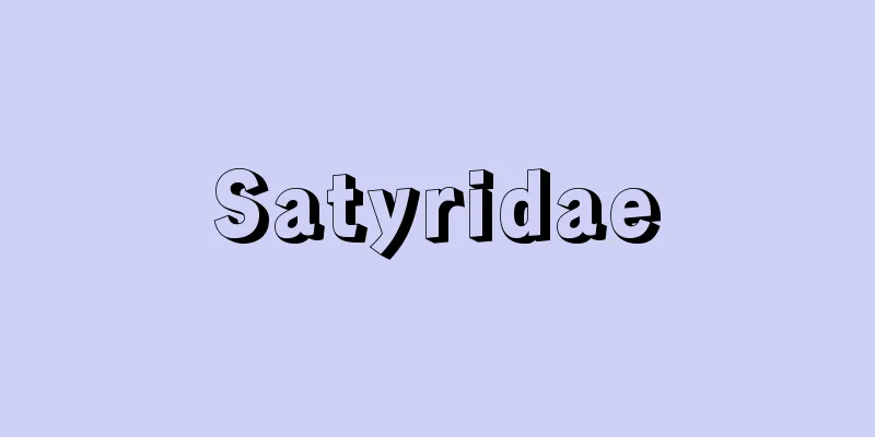 Satyridae