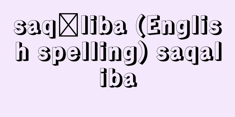 saqāliba (English spelling) saqaliba