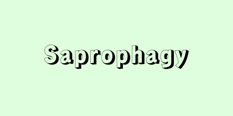 Saprophagy