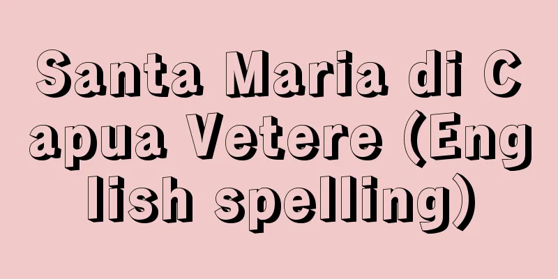 Santa Maria di Capua Vetere (English spelling)