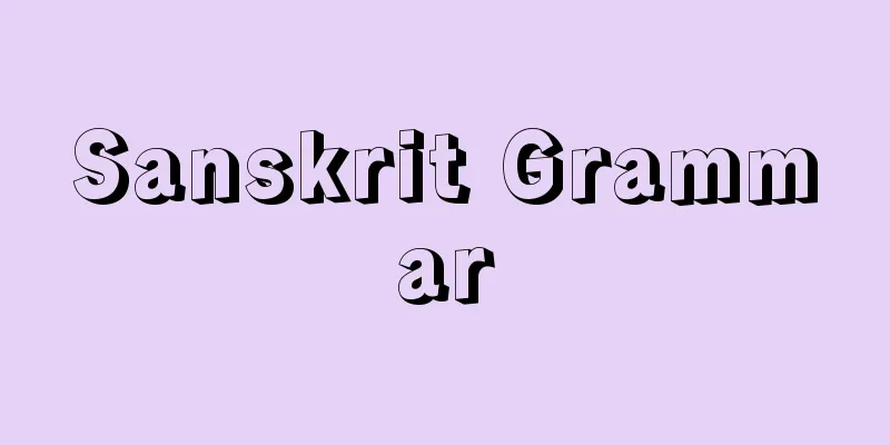 Sanskrit Grammar