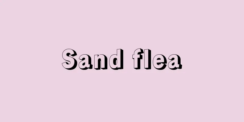 Sand flea