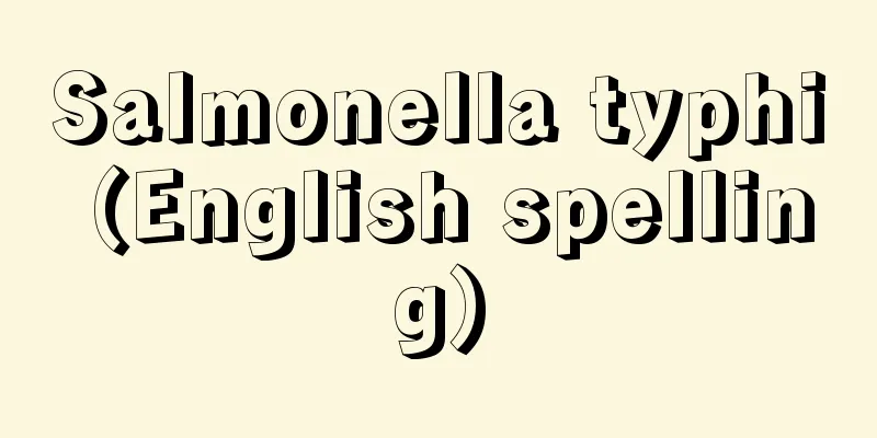 Salmonella typhi (English spelling)