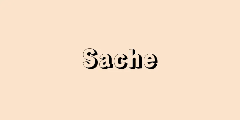 Sache