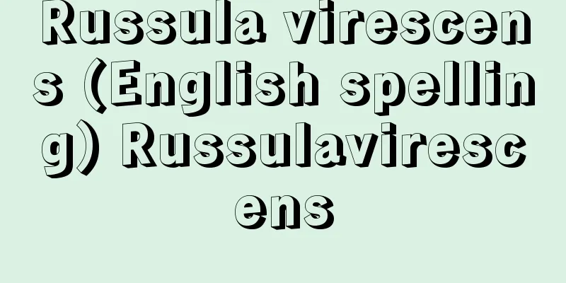 Russula virescens (English spelling) Russulavirescens