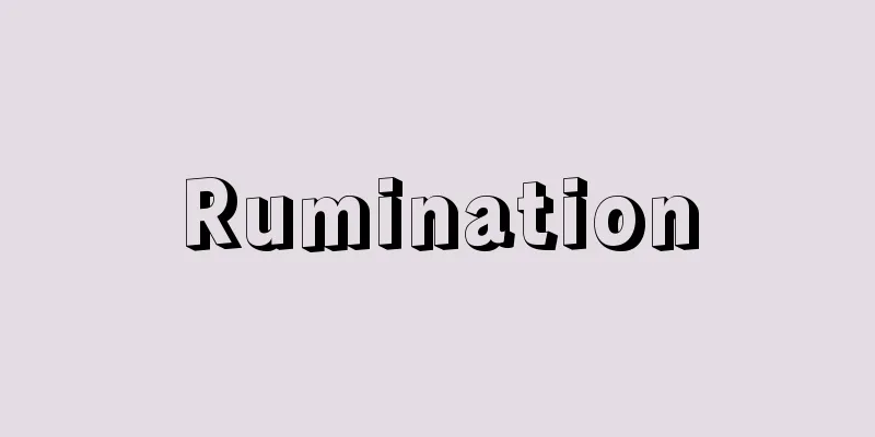 Rumination