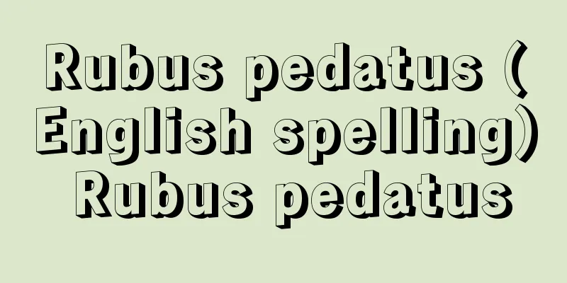Rubus pedatus (English spelling) Rubus pedatus