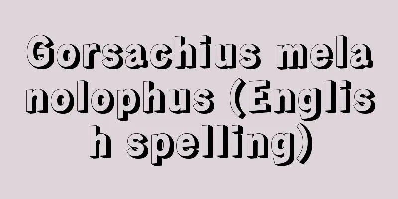 Gorsachius melanolophus (English spelling)
