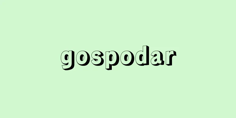 gospodar