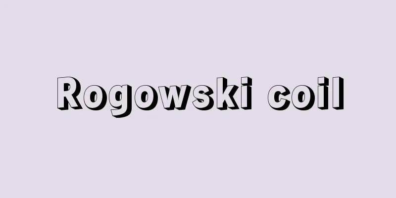 Rogowski coil