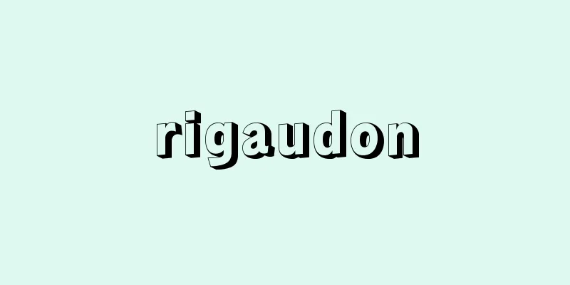 rigaudon