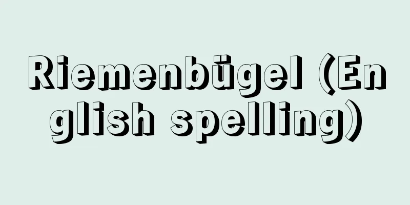 Riemenbügel (English spelling)