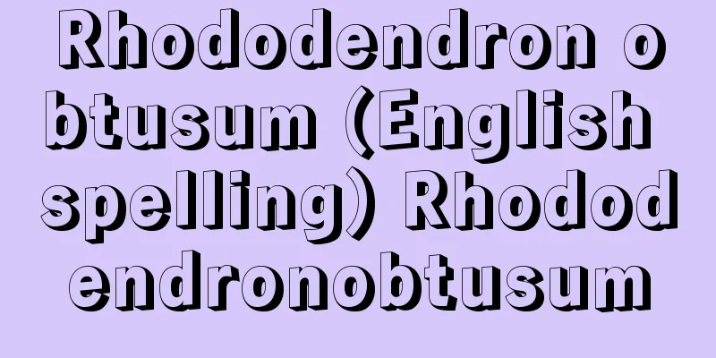 Rhododendron obtusum (English spelling) Rhododendronobtusum