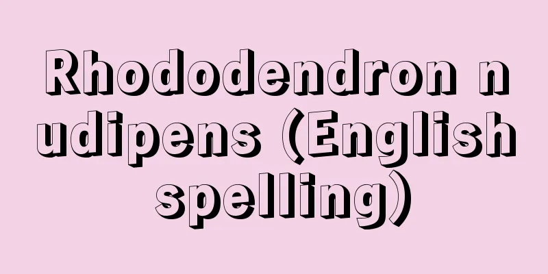 Rhododendron nudipens (English spelling)