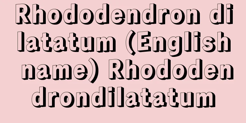 Rhododendron dilatatum (English name) Rhododendrondilatatum