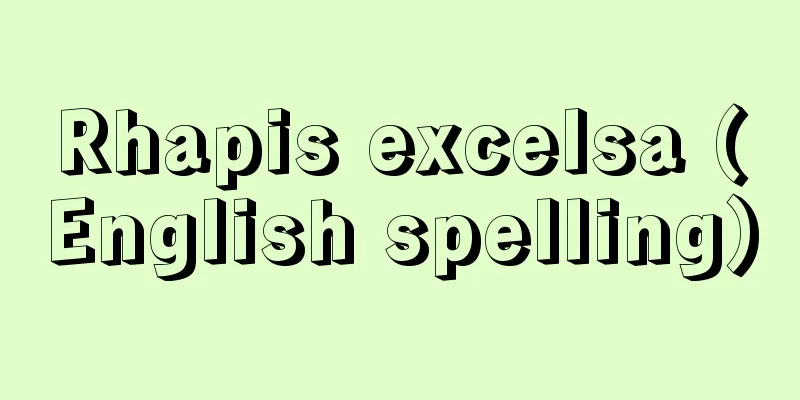Rhapis excelsa (English spelling)