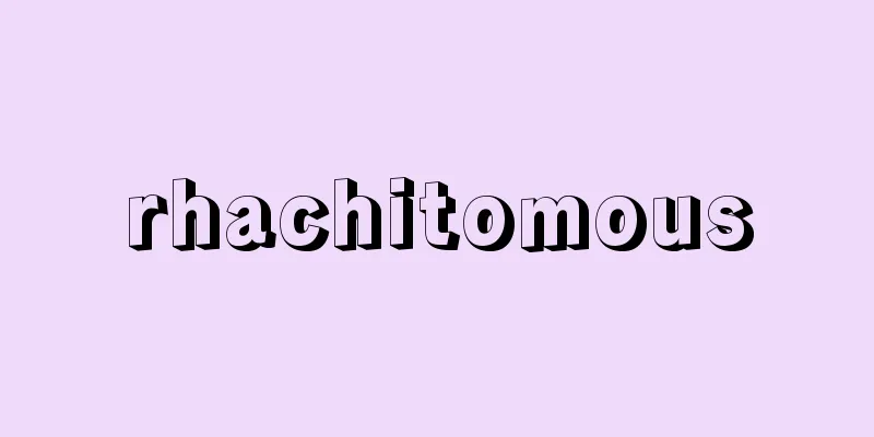 rhachitomous