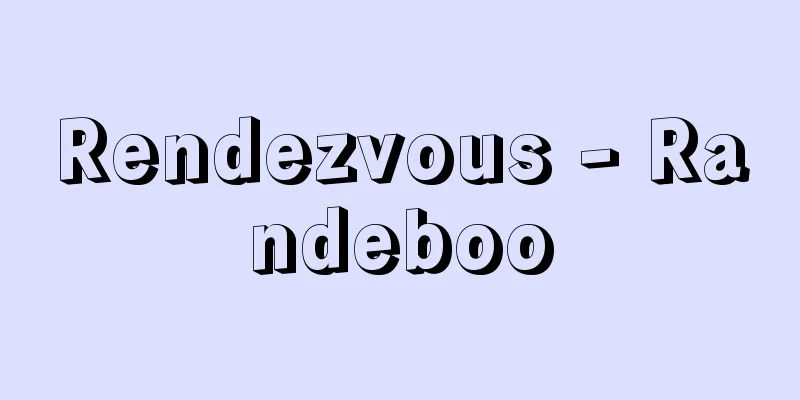Rendezvous - Randeboo