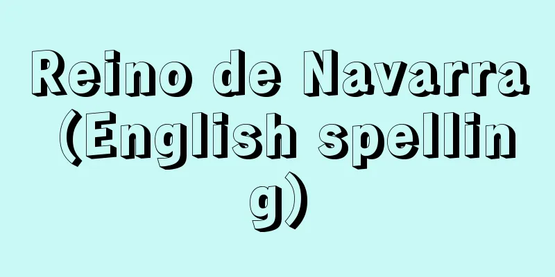 Reino de Navarra (English spelling)