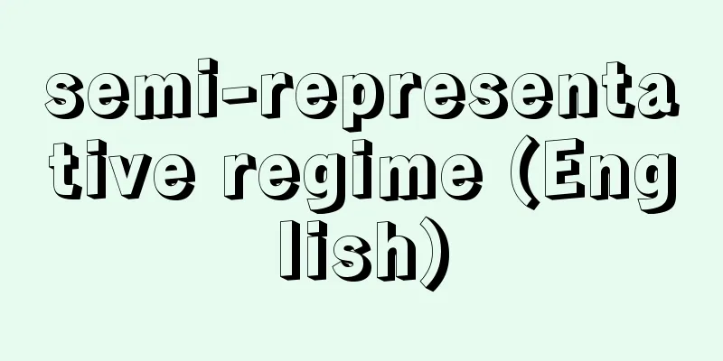 semi-representative regime (English)